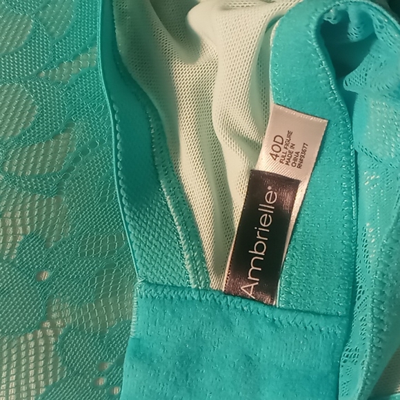 🌻Ambrielle Turquiose Lace Everyday Full Coverage T Shirt Bra Sz 40D NWOT - Picture 6 of 9